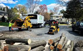 Seasonal Cleanup in Indio, CA